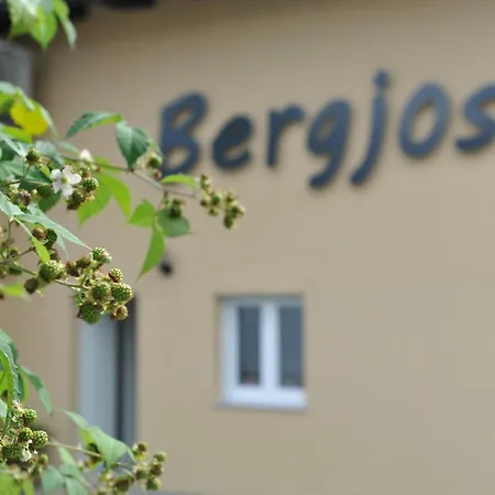 Ferienwohnung Beim Bergjosl Kirchbach in Steiermark Exterior foto