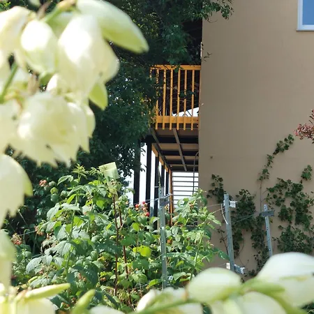 Ferienwohnung Beim Bergjosl Kirchbach in Steiermark Exterior foto