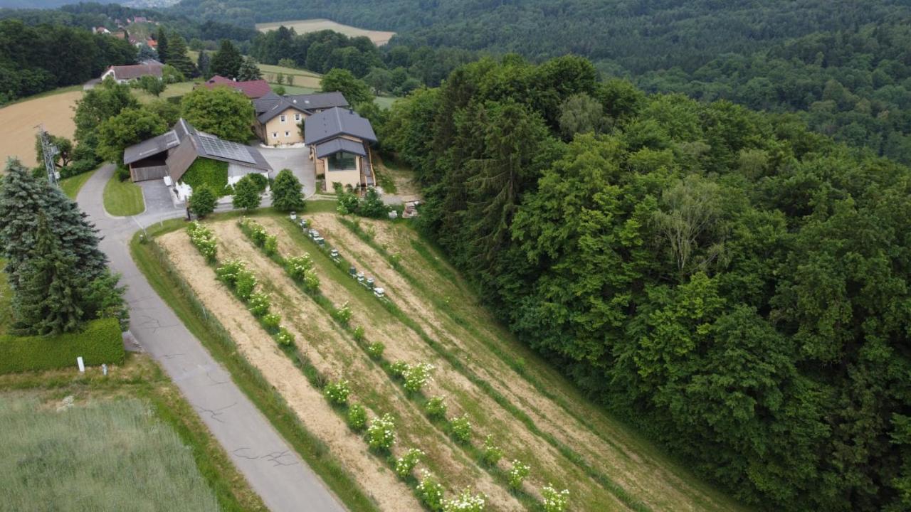 Apartment Beim Bergjosl