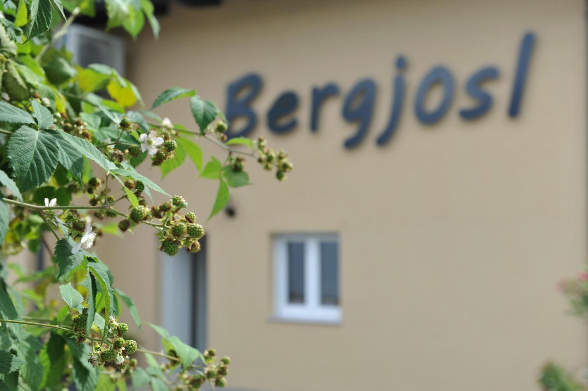 Beim Bergjosl Kirchbach in Steiermark